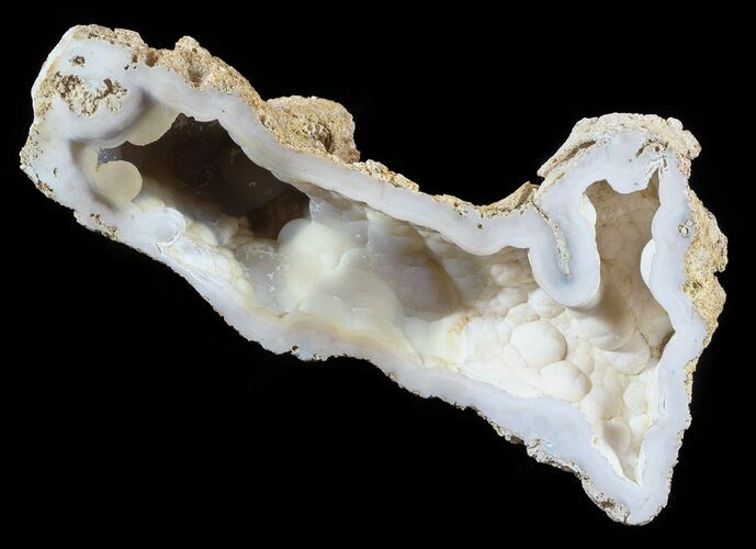 Agatized Fossil Coral Geode - Florida #51166